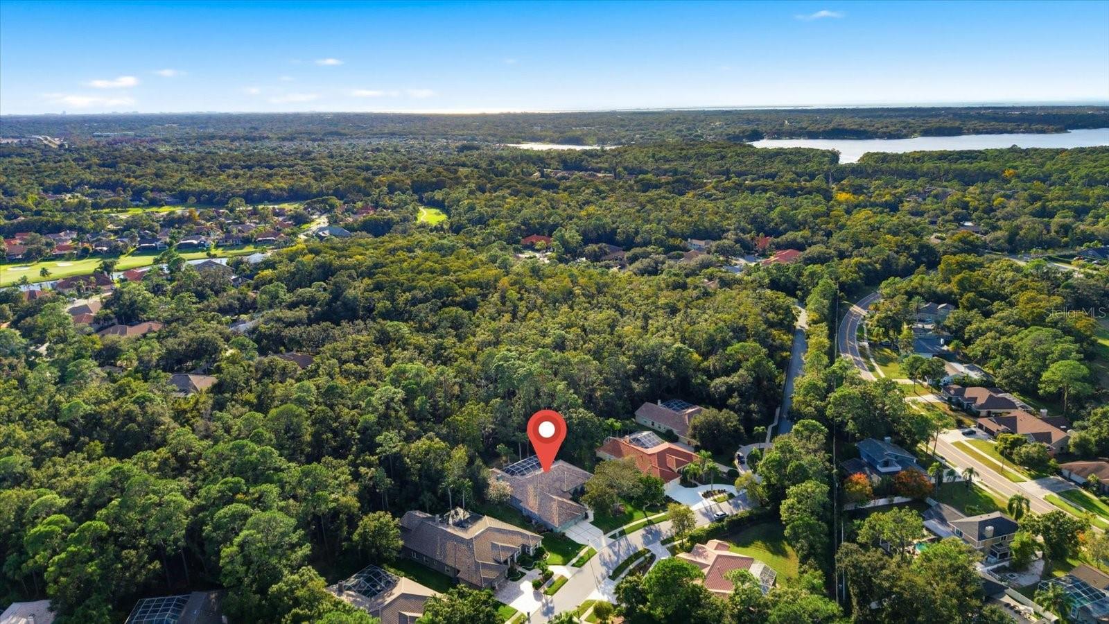 4954 TURTLE CREEK TRL, OLDSMAR, FL, 34677