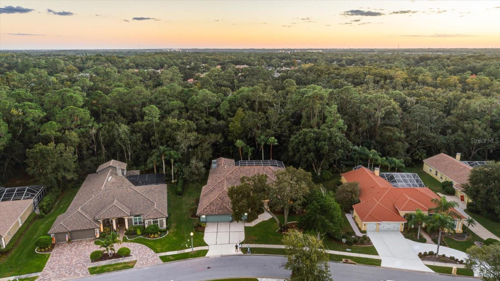 4954 TURTLE CREEK TRL, OLDSMAR, FL, 34677