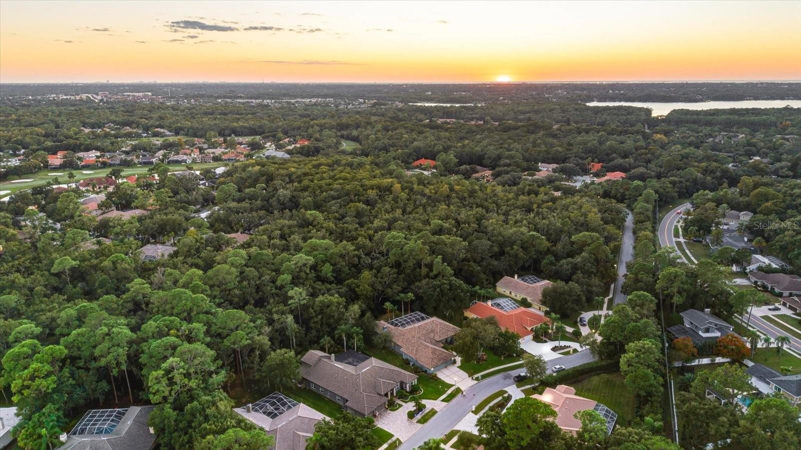 4954 TURTLE CREEK TRL, OLDSMAR, FL, 34677