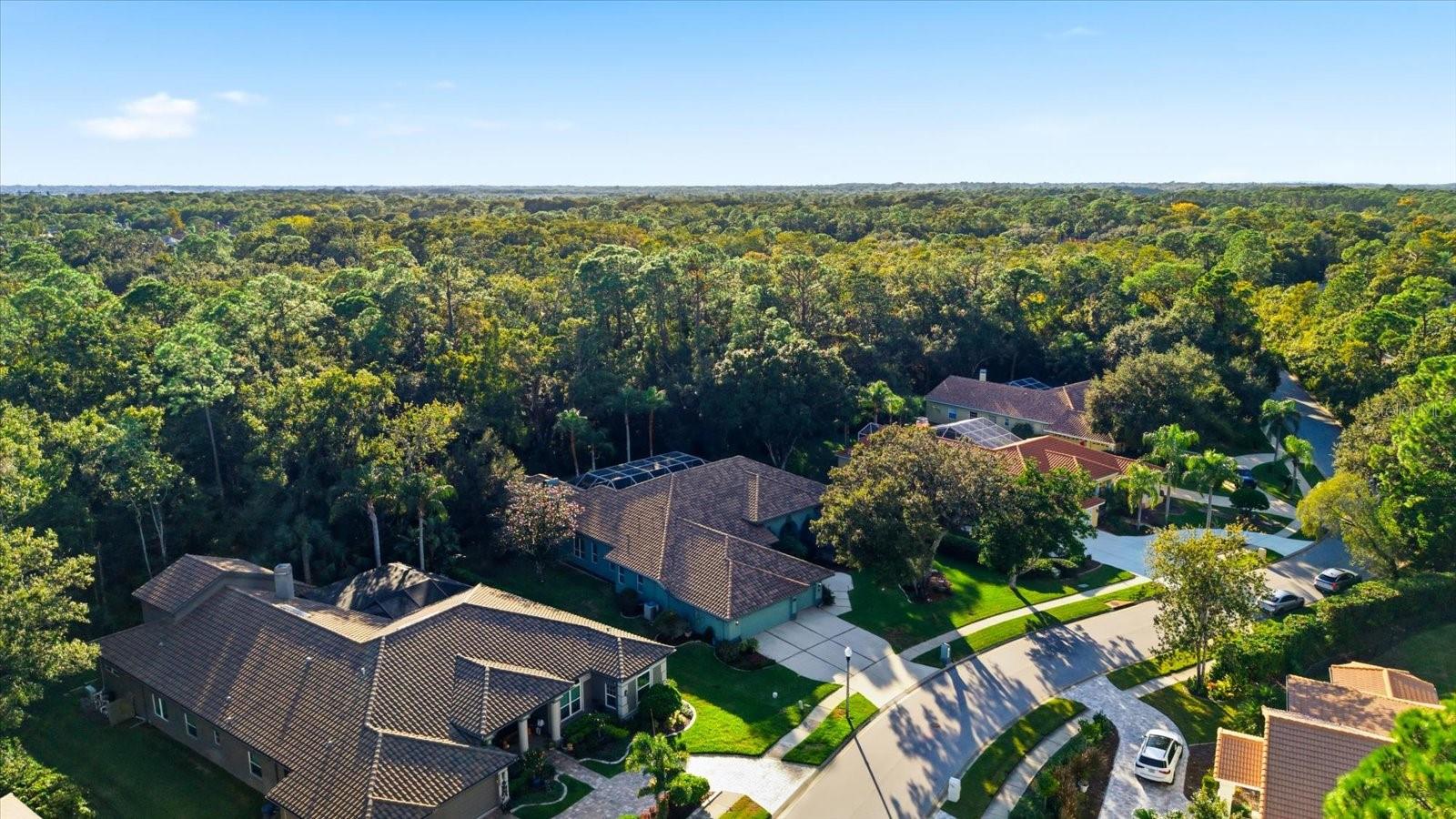 4954 TURTLE CREEK TRL, OLDSMAR, FL, 34677