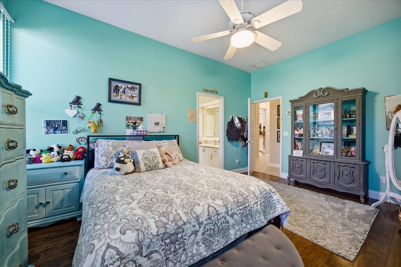 4954 TURTLE CREEK TRL, OLDSMAR, FL, 34677