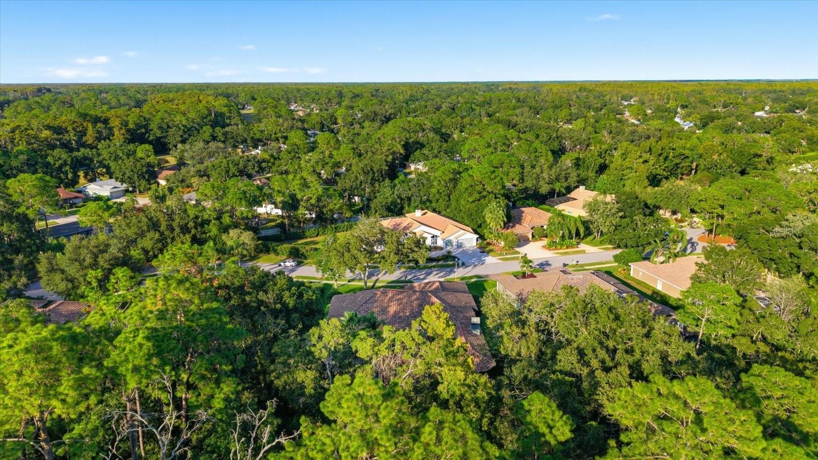 4954 TURTLE CREEK TRL, OLDSMAR, FL, 34677