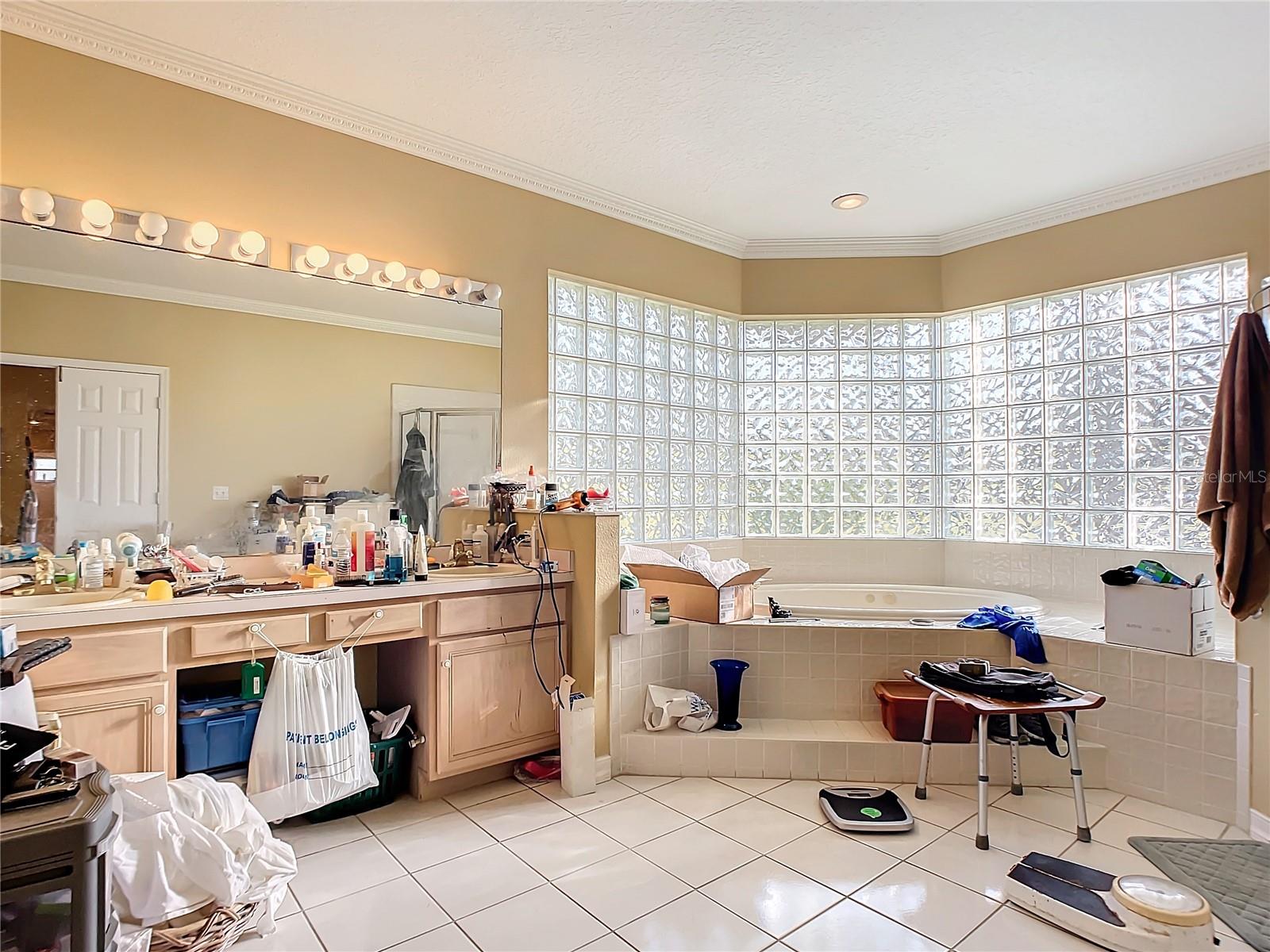 3228 ABALONE BLVD, ORLANDO, FL, 32833