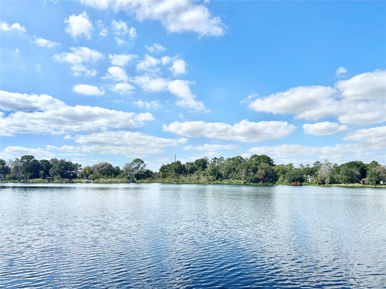 9409 TELFER RUN, ORLANDO, FL, 32817