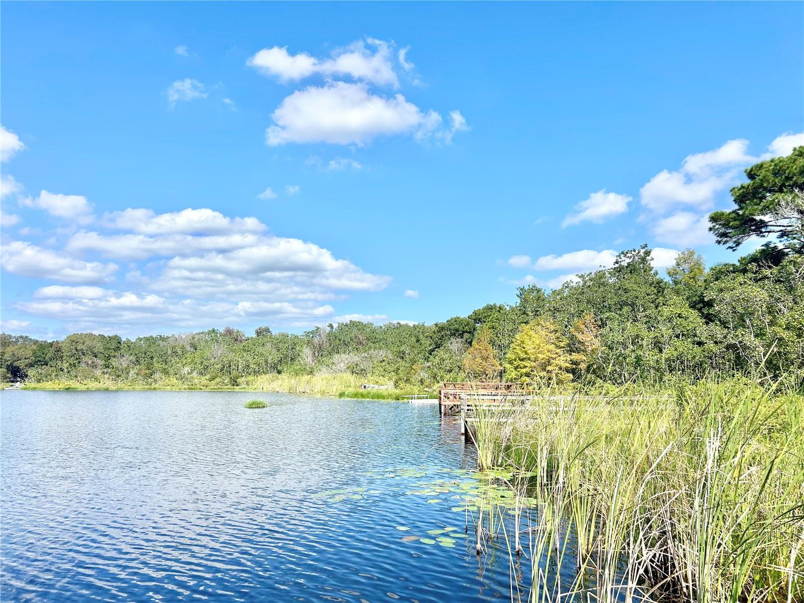 9409 TELFER RUN, ORLANDO, FL, 32817