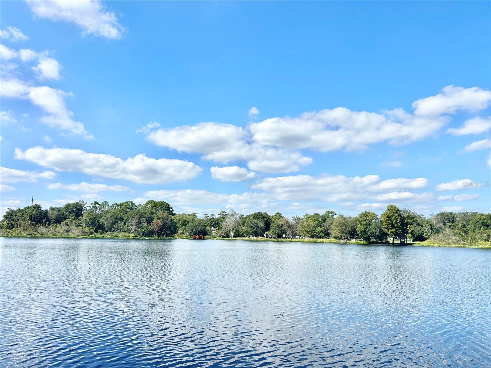 9409 TELFER RUN, ORLANDO, FL, 32817