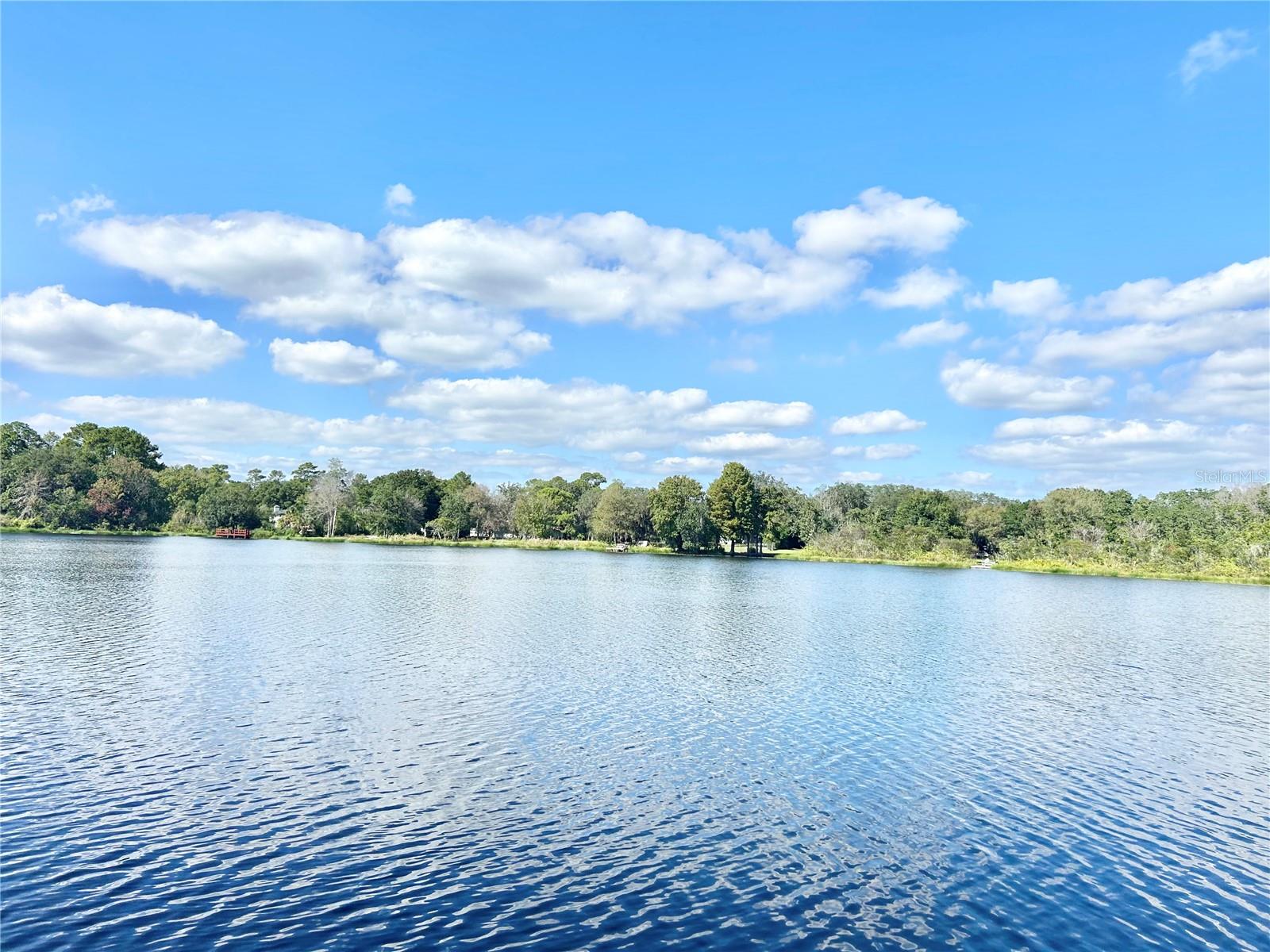 9409 TELFER RUN, ORLANDO, FL, 32817