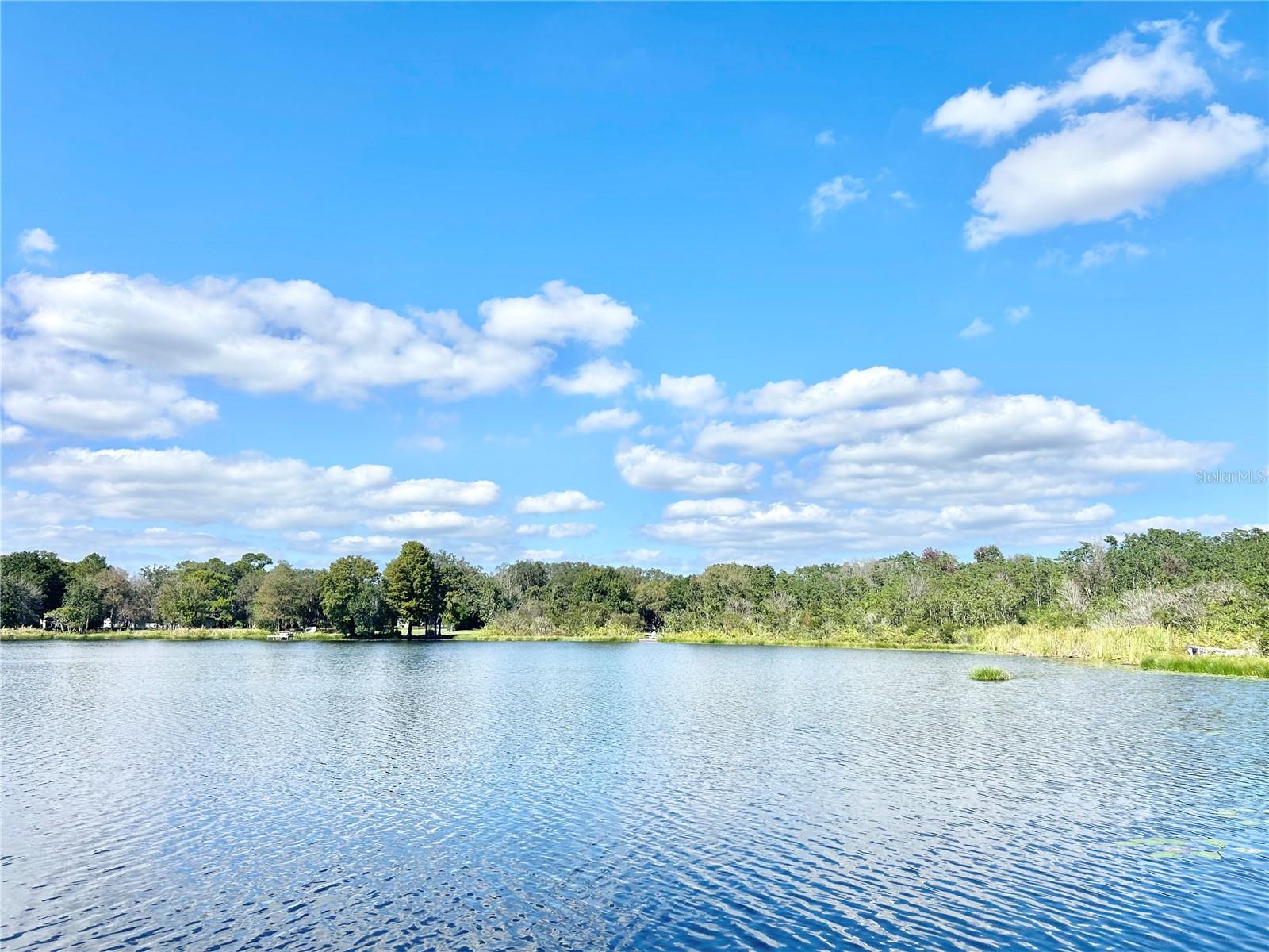 9409 TELFER RUN, ORLANDO, FL, 32817