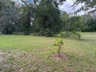 31 PINE COURT LOOP, OCALA, FL, 34472