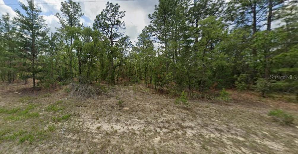 6657 N WATERMAN DR, DUNNELLON, FL, 34433