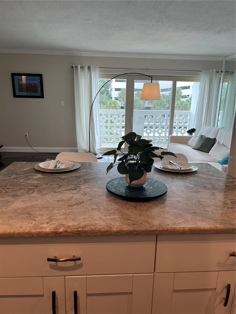 2401 BAYSHORE BLVD #302, TAMPA, FL, 33629