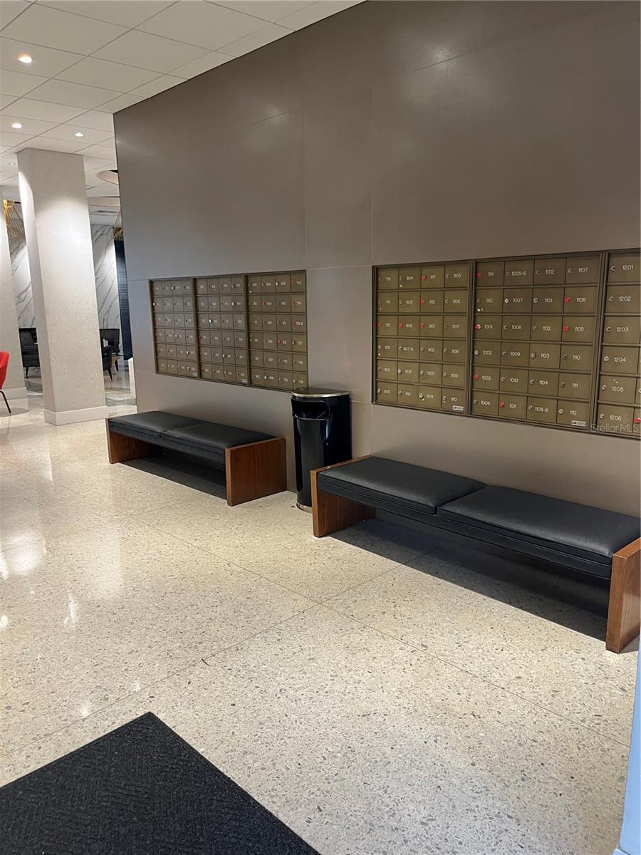 2401 BAYSHORE BLVD #302, TAMPA, FL, 33629