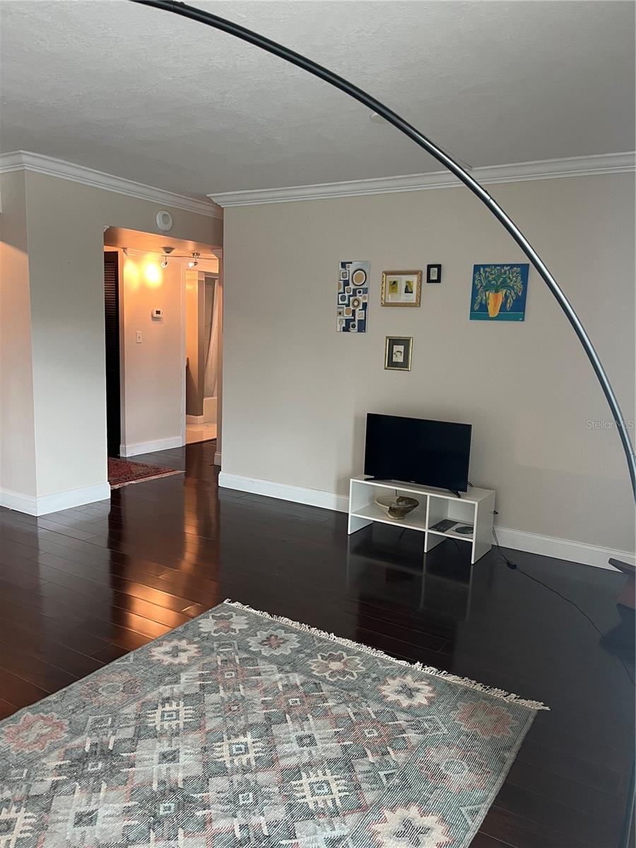 2401 BAYSHORE BLVD #302, TAMPA, FL, 33629