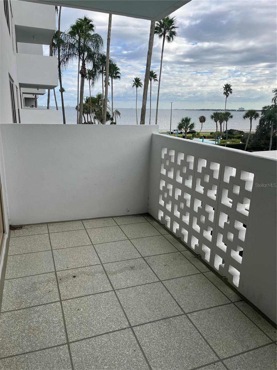 2401 BAYSHORE BLVD #302, TAMPA, FL, 33629