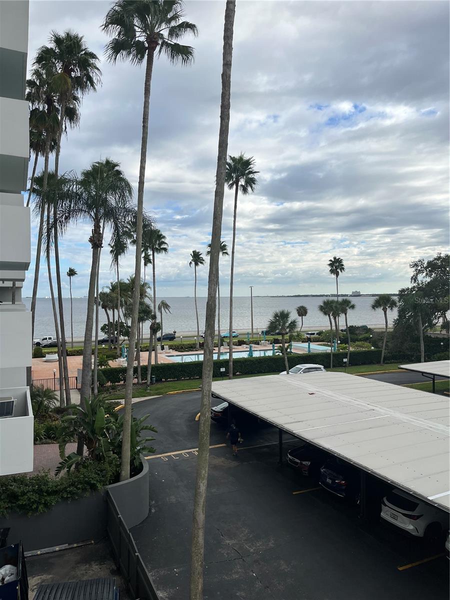 2401 BAYSHORE BLVD #302, TAMPA, FL, 33629