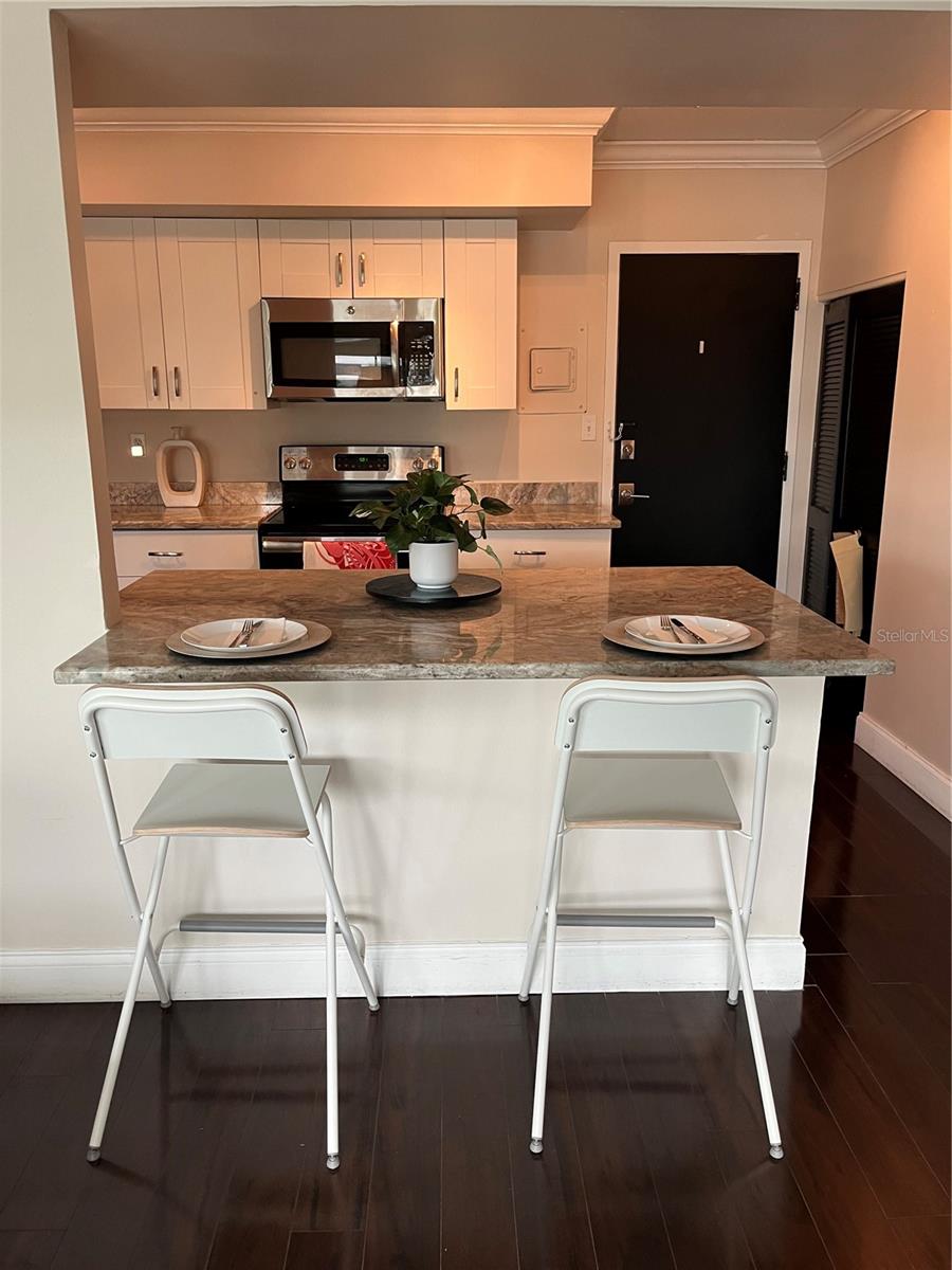 2401 BAYSHORE BLVD #302, TAMPA, FL, 33629