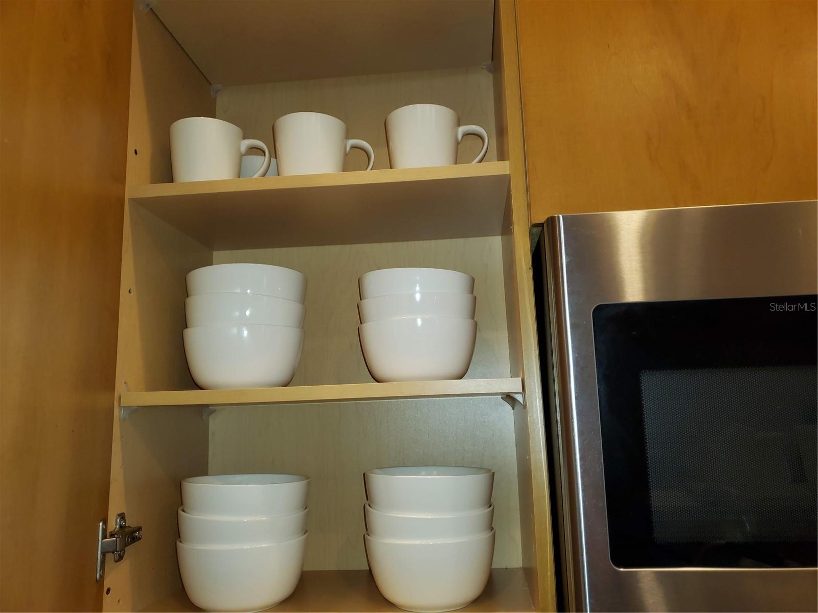 ASBURY PARK VILLAS & TOWNHOU, TAMPA, FL, 33611