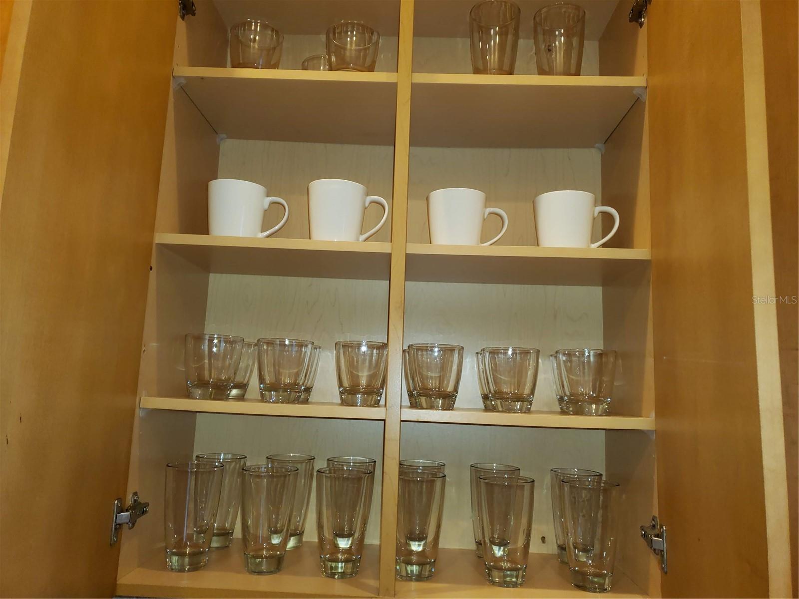 ASBURY PARK VILLAS & TOWNHOU, TAMPA, FL, 33611