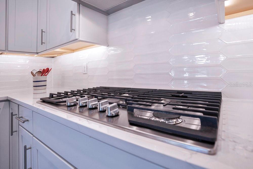 2479 PINE PRESERVE CT, ST CLOUD, FL, 34771