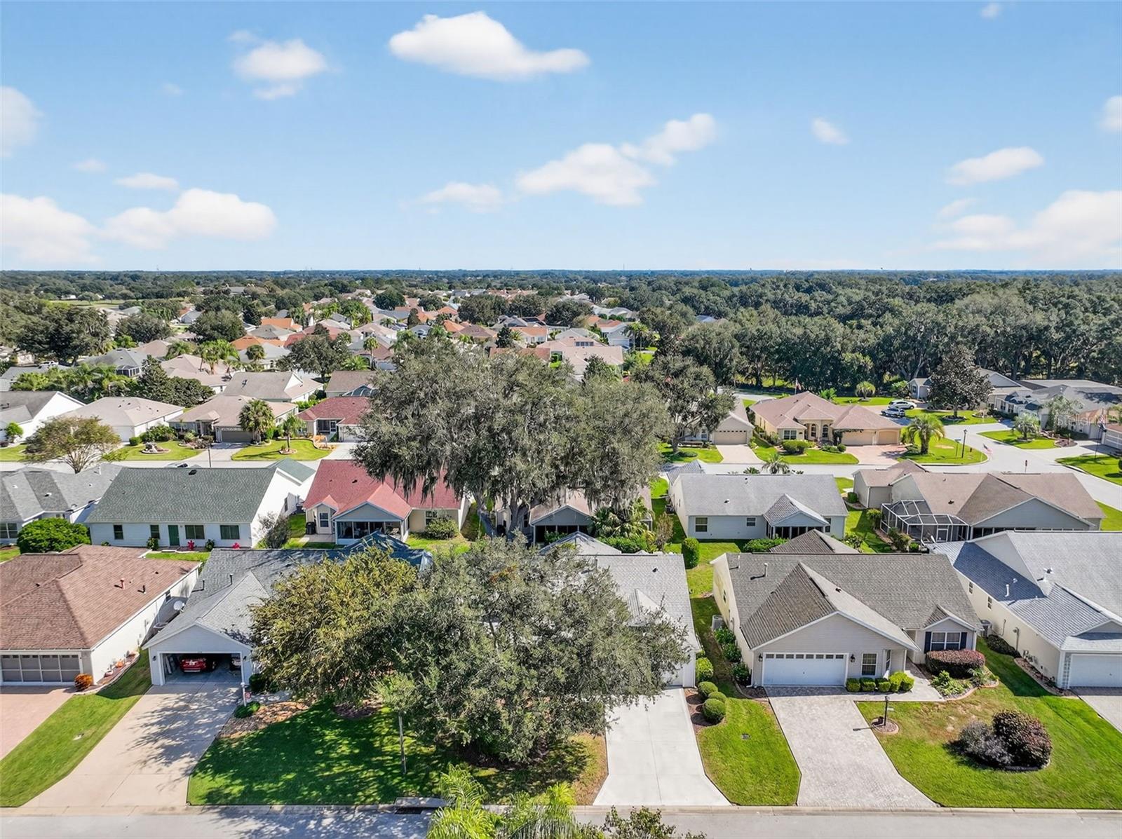7168 SE 173RD ARLINGTON LOOP, THE VILLAGES, FL, 32162