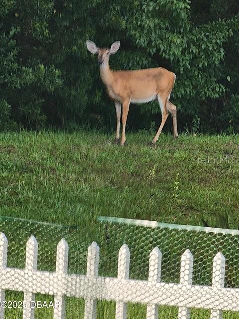 704 SAW PALMETTO CT, PORT ORANGE, FL, 32128