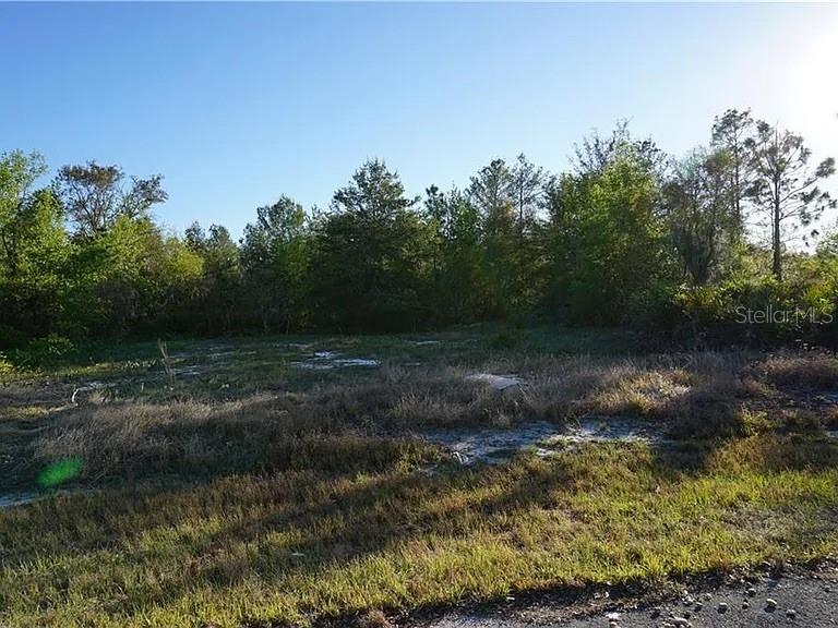 1327 ST AUGUSTINE CT, KISSIMMEE, FL, 34759