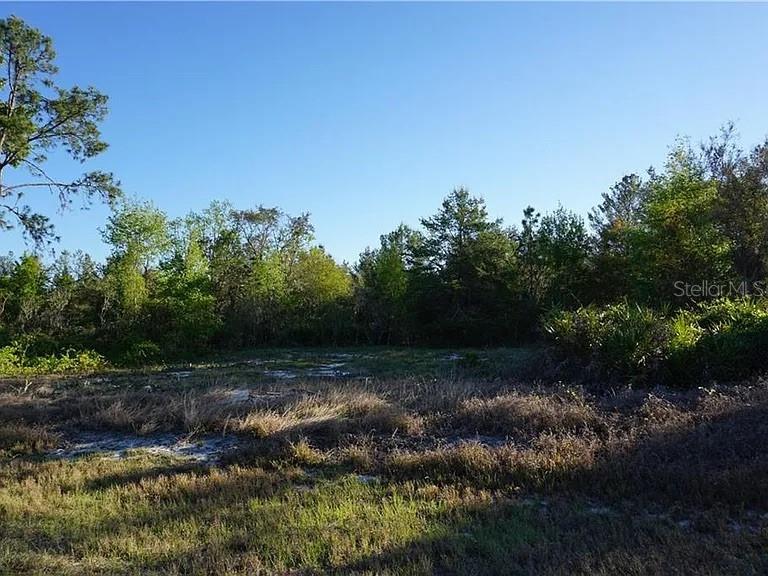 1327 ST AUGUSTINE CT, KISSIMMEE, FL, 34759