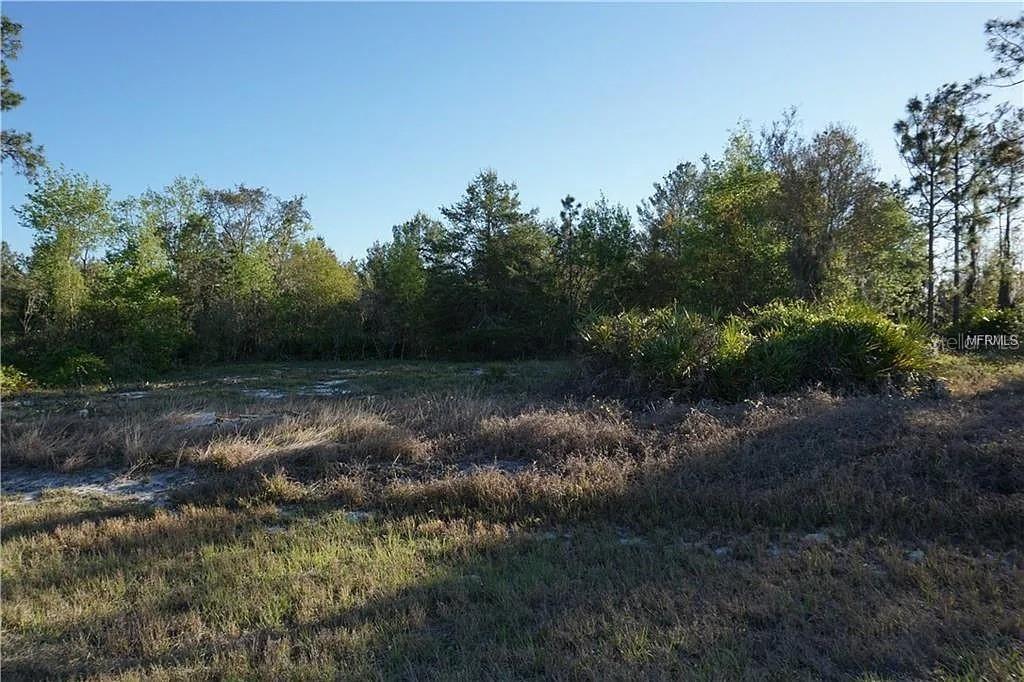 1327 ST AUGUSTINE CT, KISSIMMEE, FL, 34759