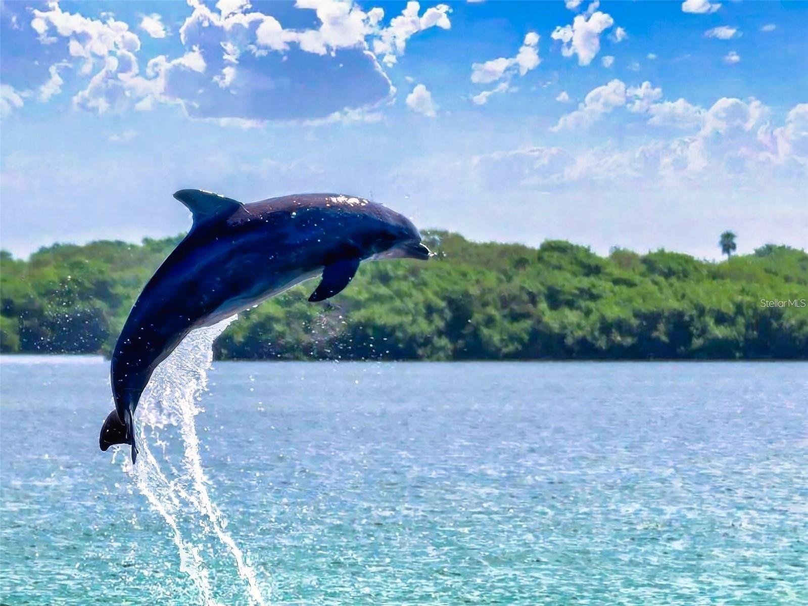 438 BOUCHELLE DR #105, NEW SMYRNA BEACH, FL, 32169