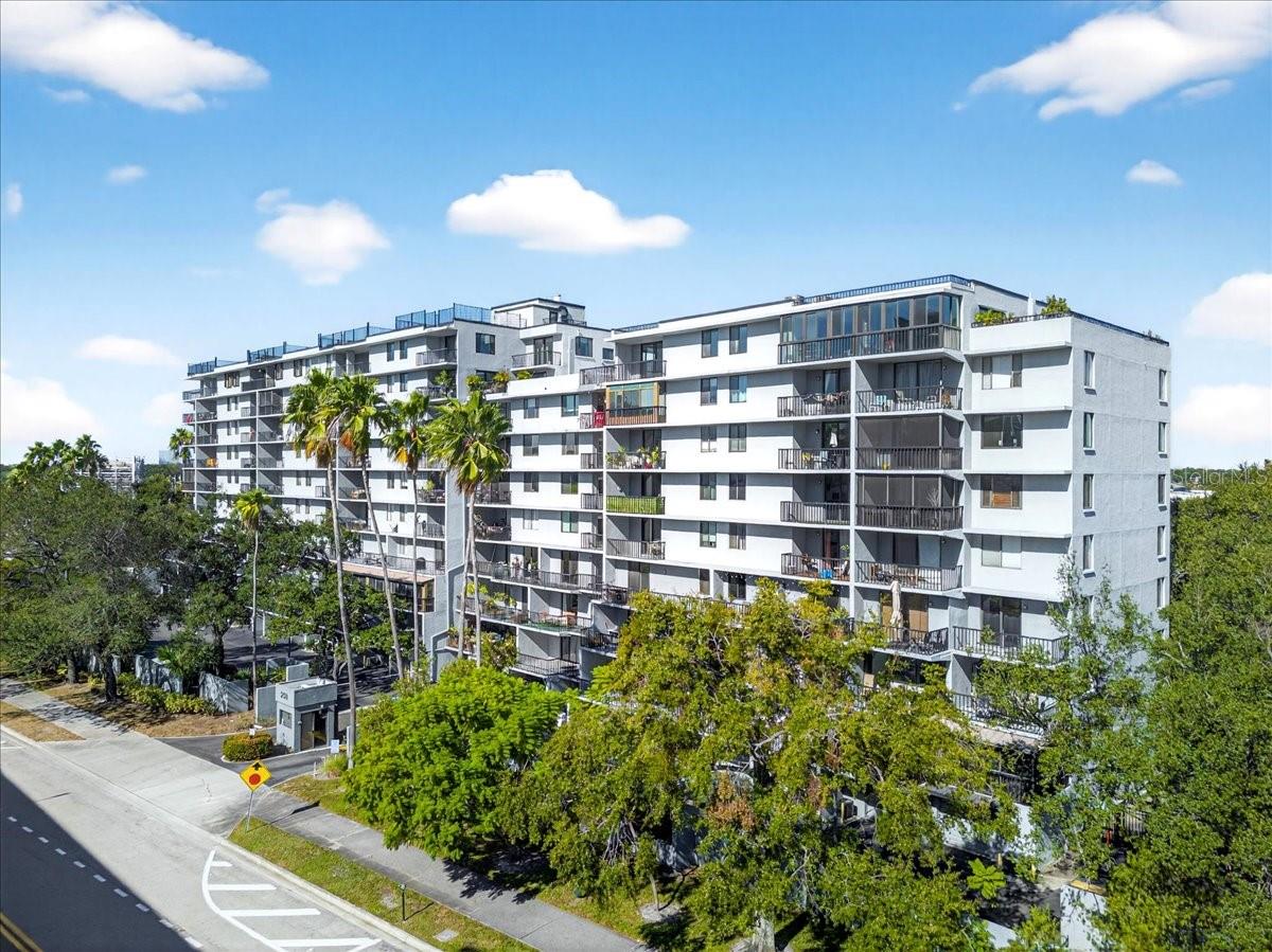 201 W LAUREL ST #206, TAMPA, FL, 33602