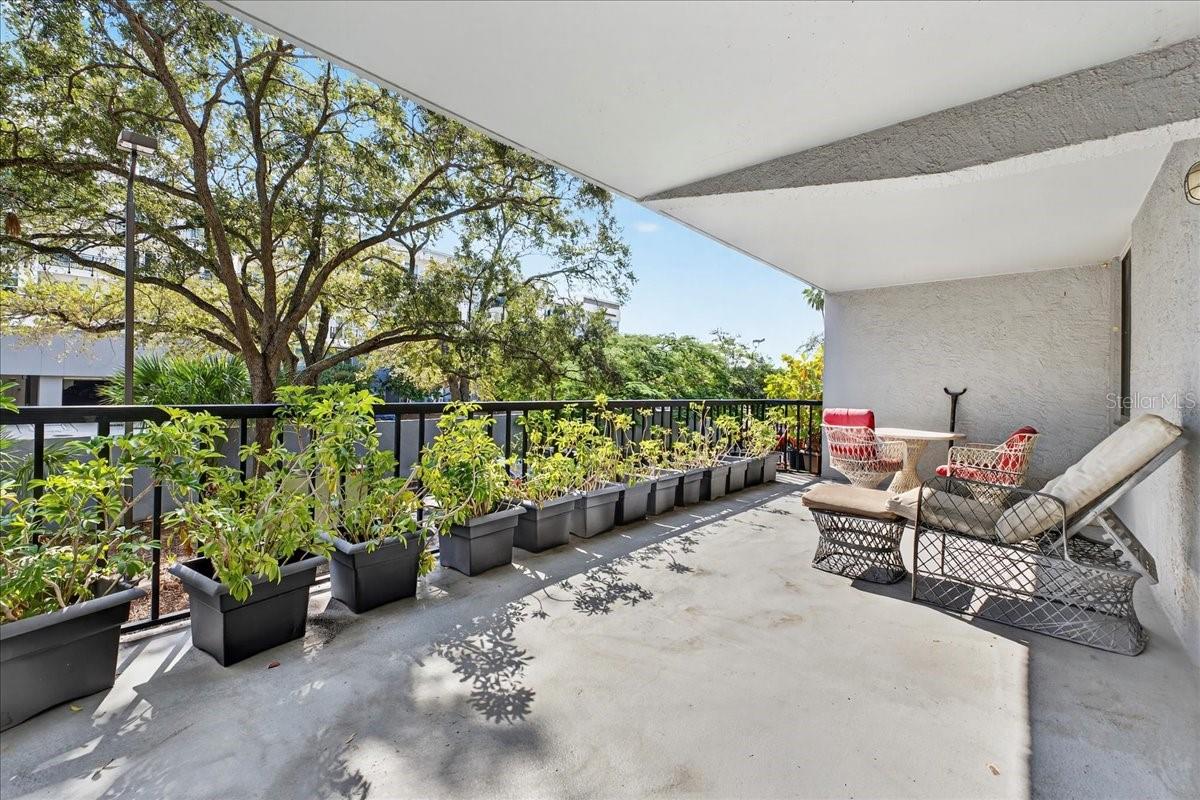 201 W LAUREL ST #206, TAMPA, FL, 33602