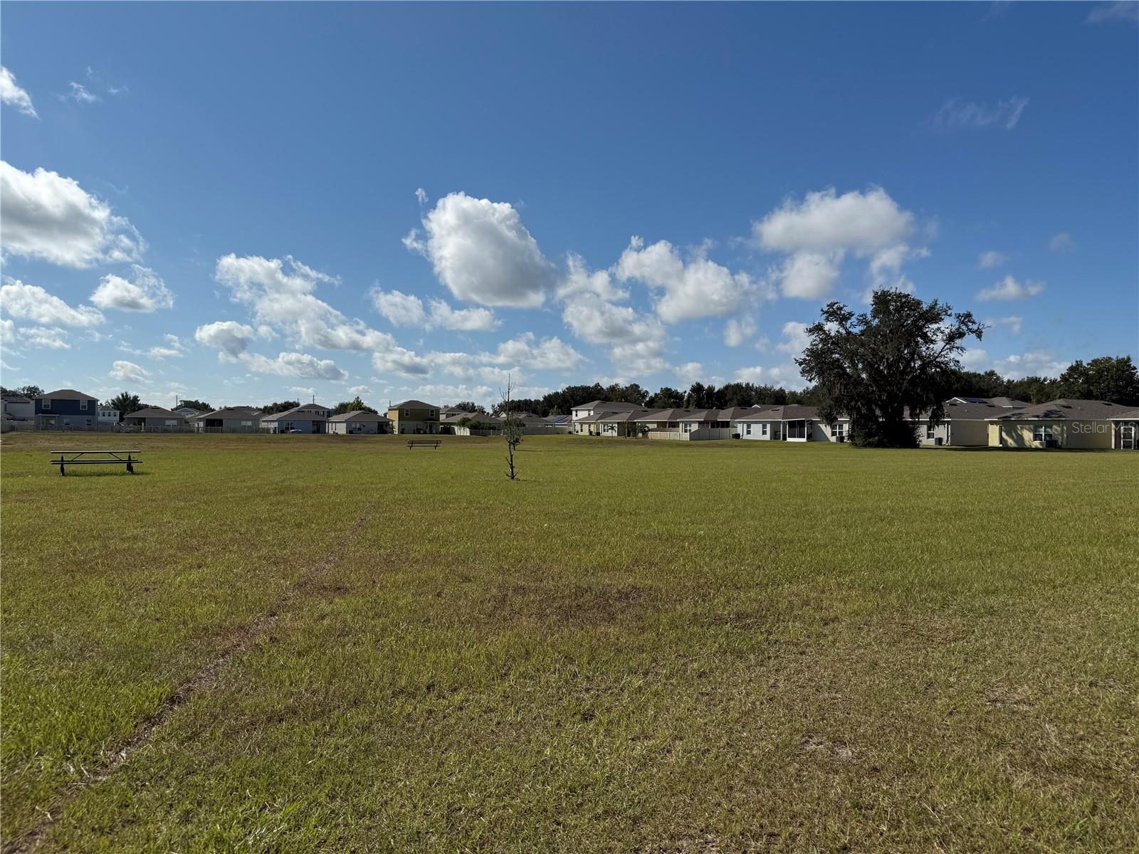 35147 JOMAR AVE, ZEPHYRHILLS, FL, 33541