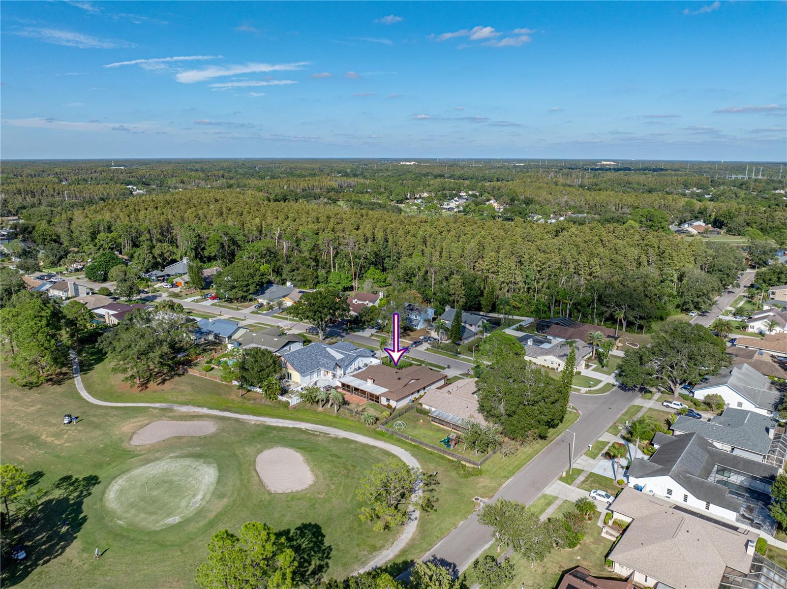 16404 ASHWOOD DR, TAMPA, FL, 33624