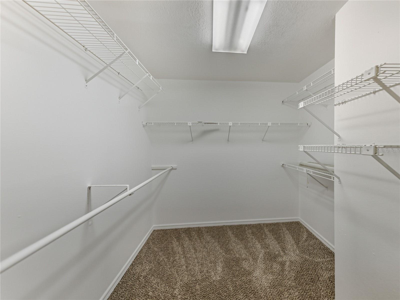 16404 ASHWOOD DR, TAMPA, FL, 33624