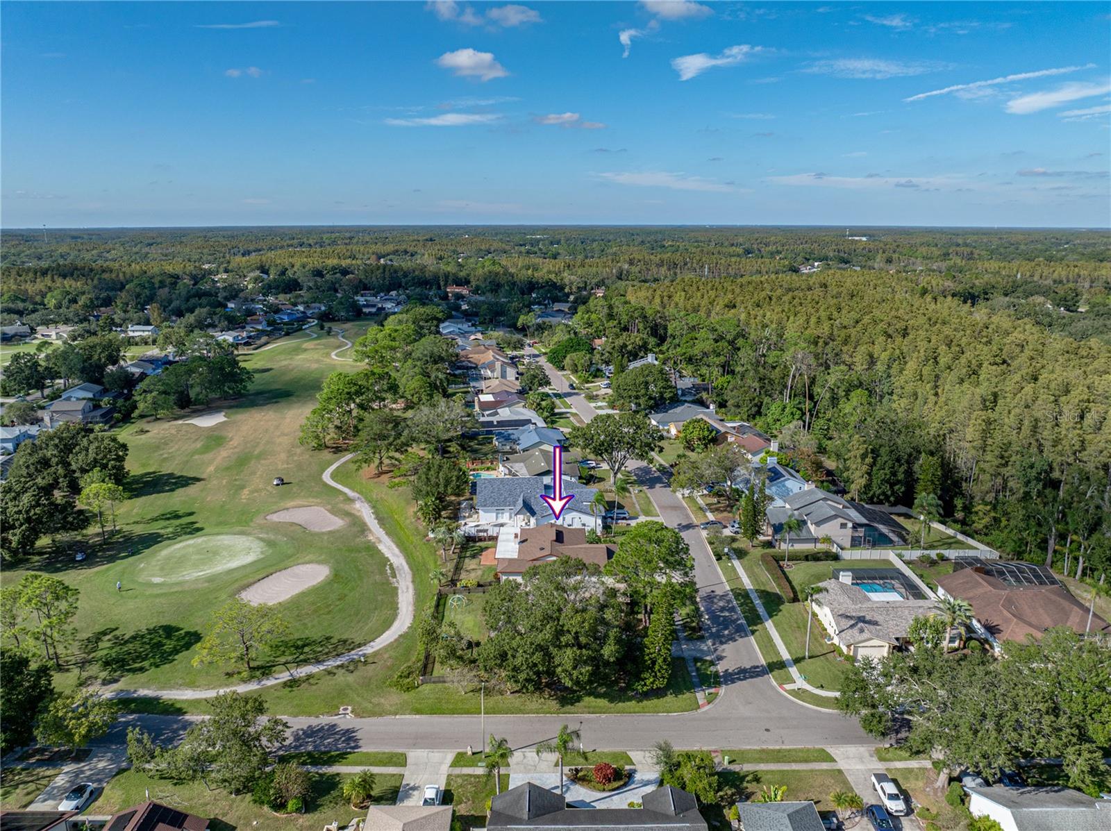 16404 ASHWOOD DR, TAMPA, FL, 33624