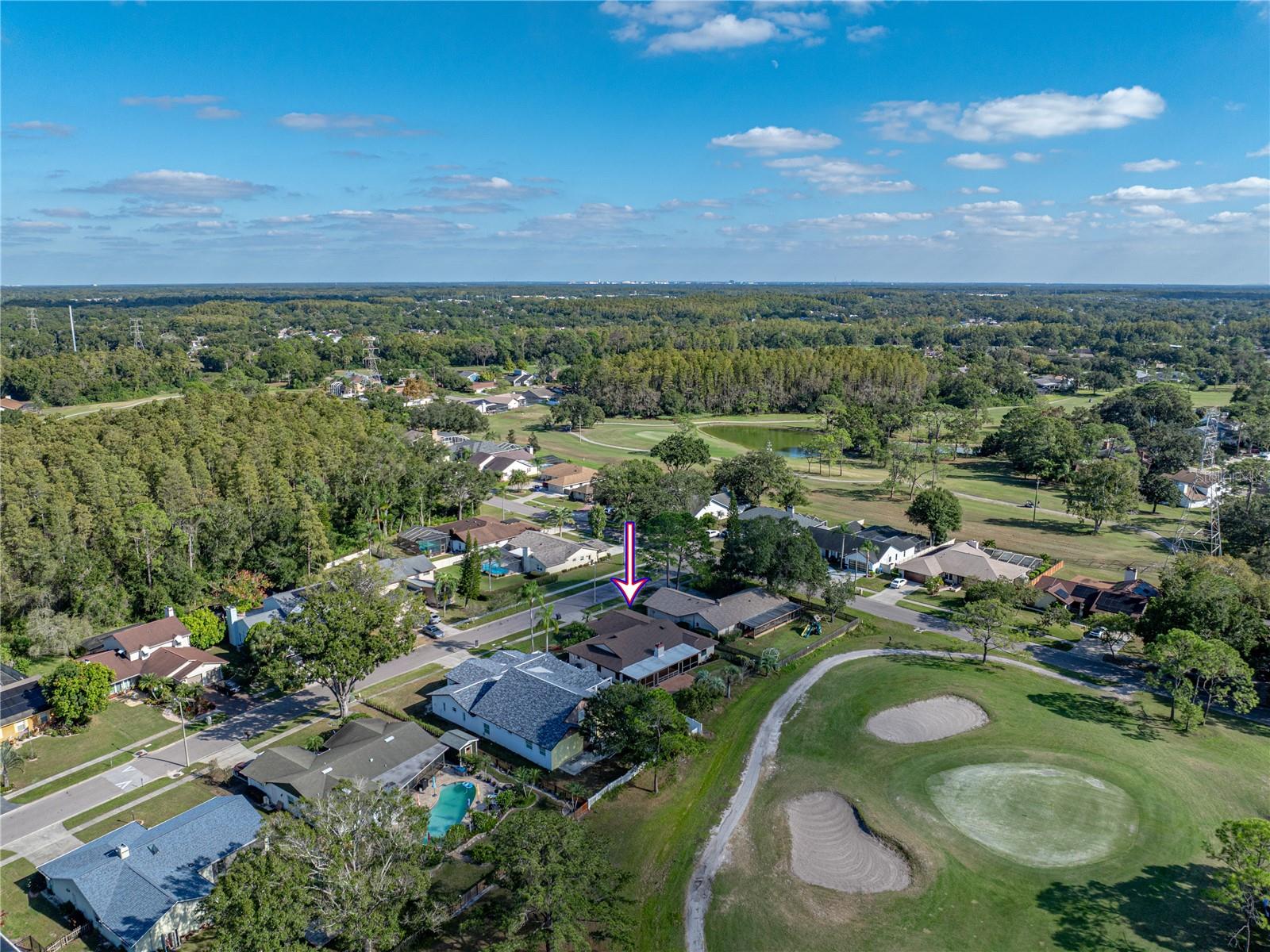 16404 ASHWOOD DR, TAMPA, FL, 33624