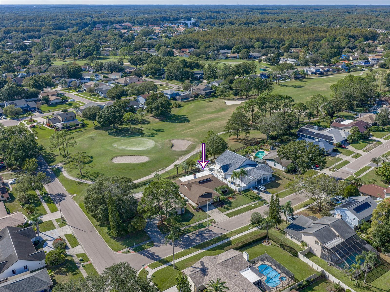 16404 ASHWOOD DR, TAMPA, FL, 33624