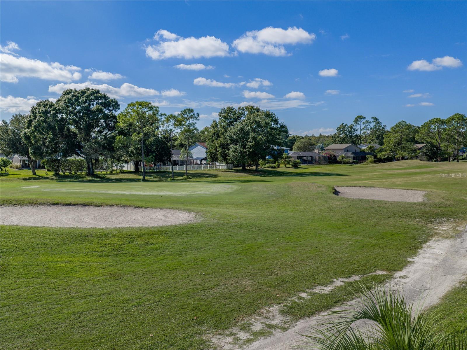 16404 ASHWOOD DR, TAMPA, FL, 33624