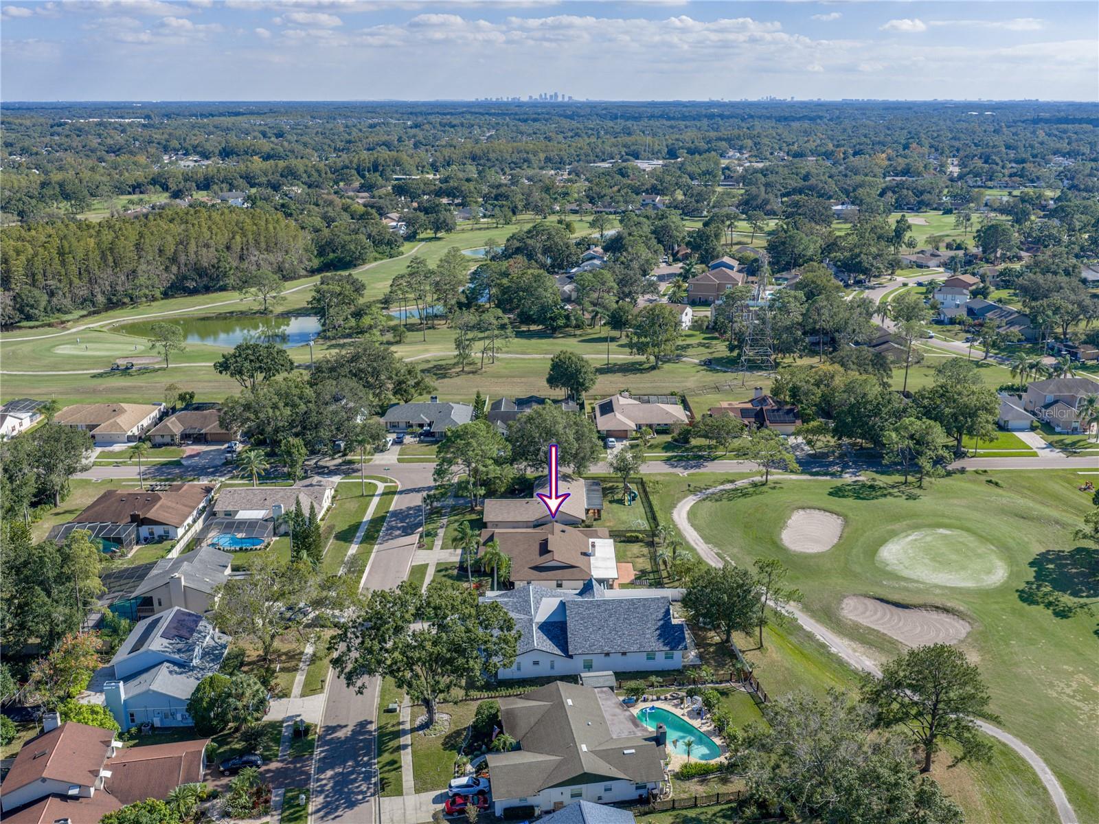 16404 ASHWOOD DR, TAMPA, FL, 33624