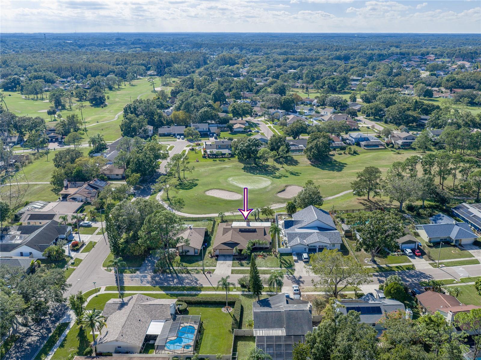 16404 ASHWOOD DR, TAMPA, FL, 33624