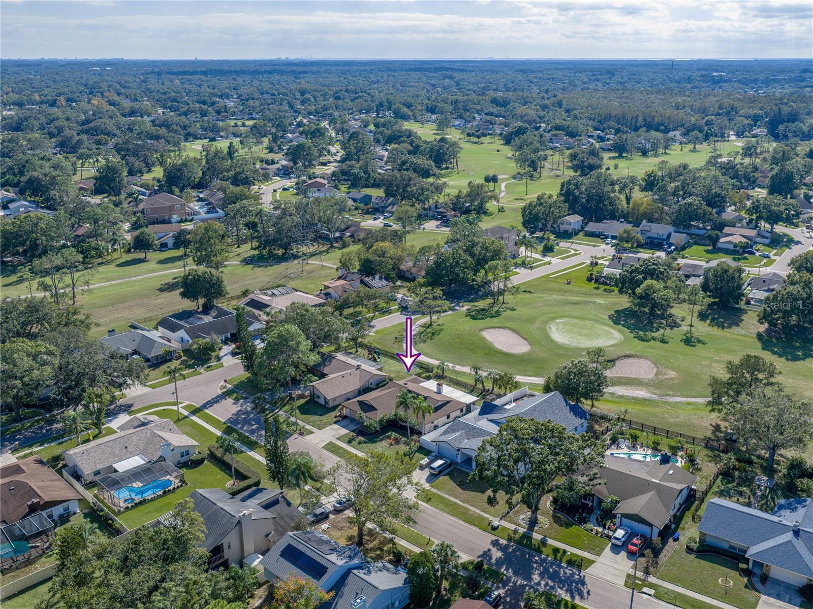 16404 ASHWOOD DR, TAMPA, FL, 33624