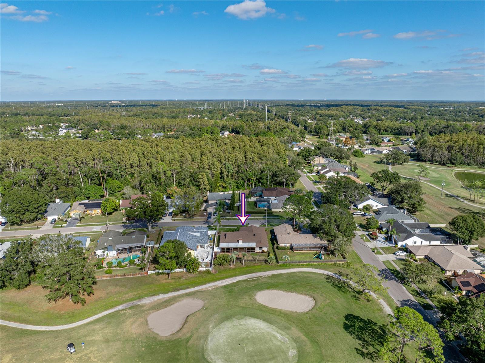 16404 ASHWOOD DR, TAMPA, FL, 33624