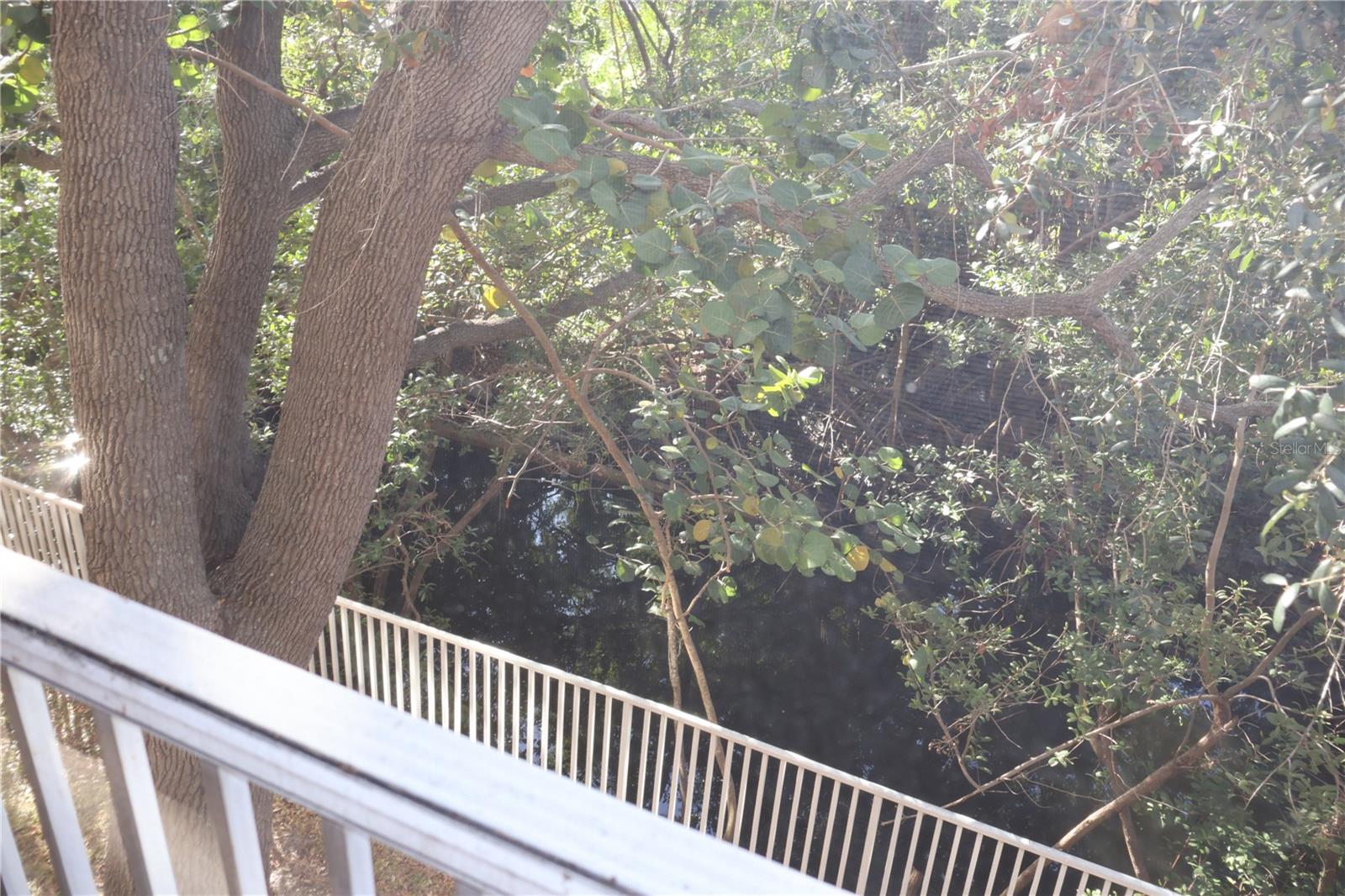 5000 CULBREATH KEY WAY #1-218, TAMPA, FL, 33611