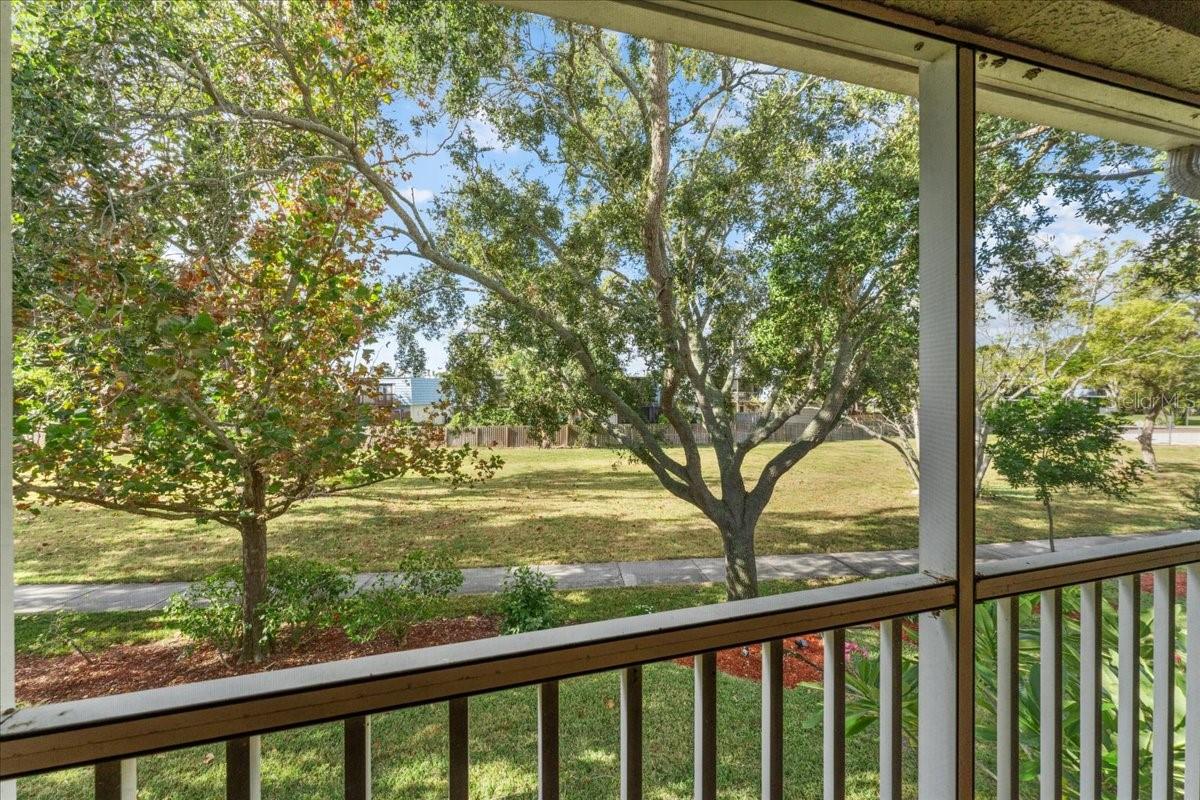 This is your park-like view from the screened patio