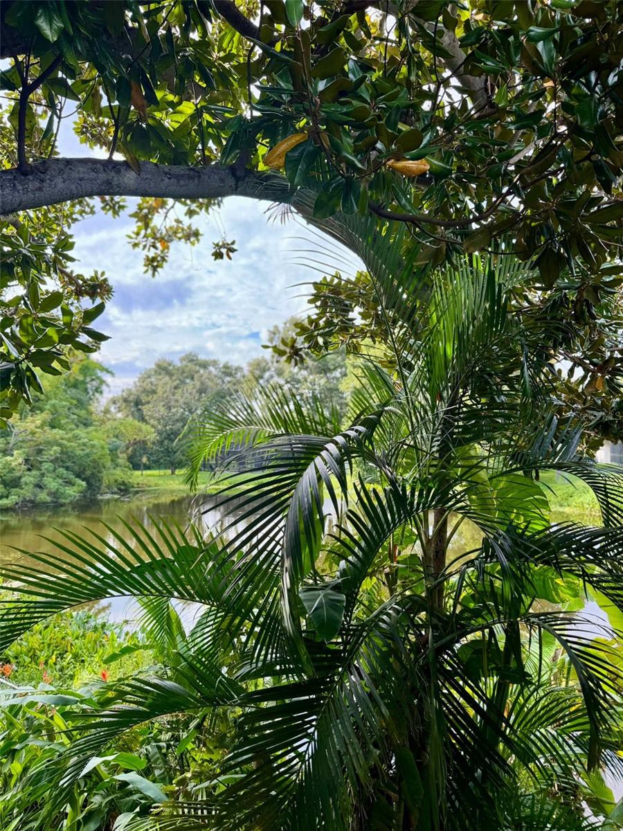 3012 GRAND VIEW AVE, CLEARWATER, FL, 33759