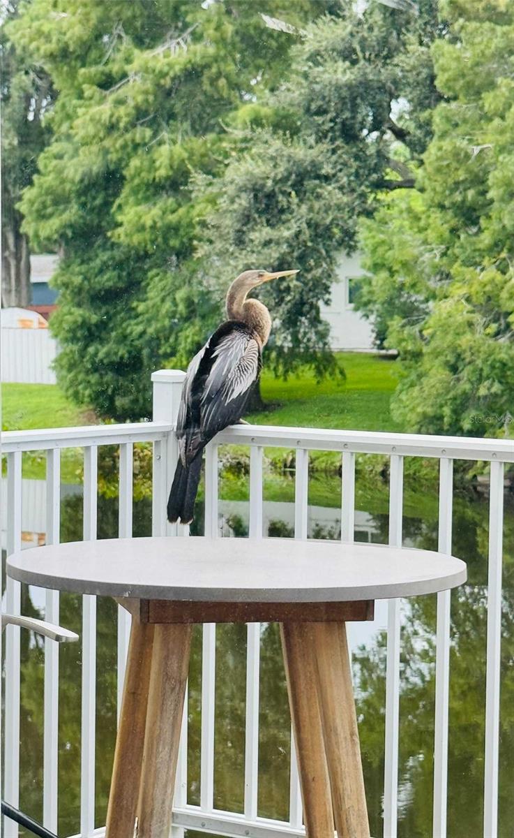 3012 GRAND VIEW AVE, CLEARWATER, FL, 33759