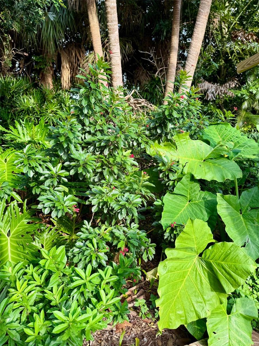 3012 GRAND VIEW AVE, CLEARWATER, FL, 33759