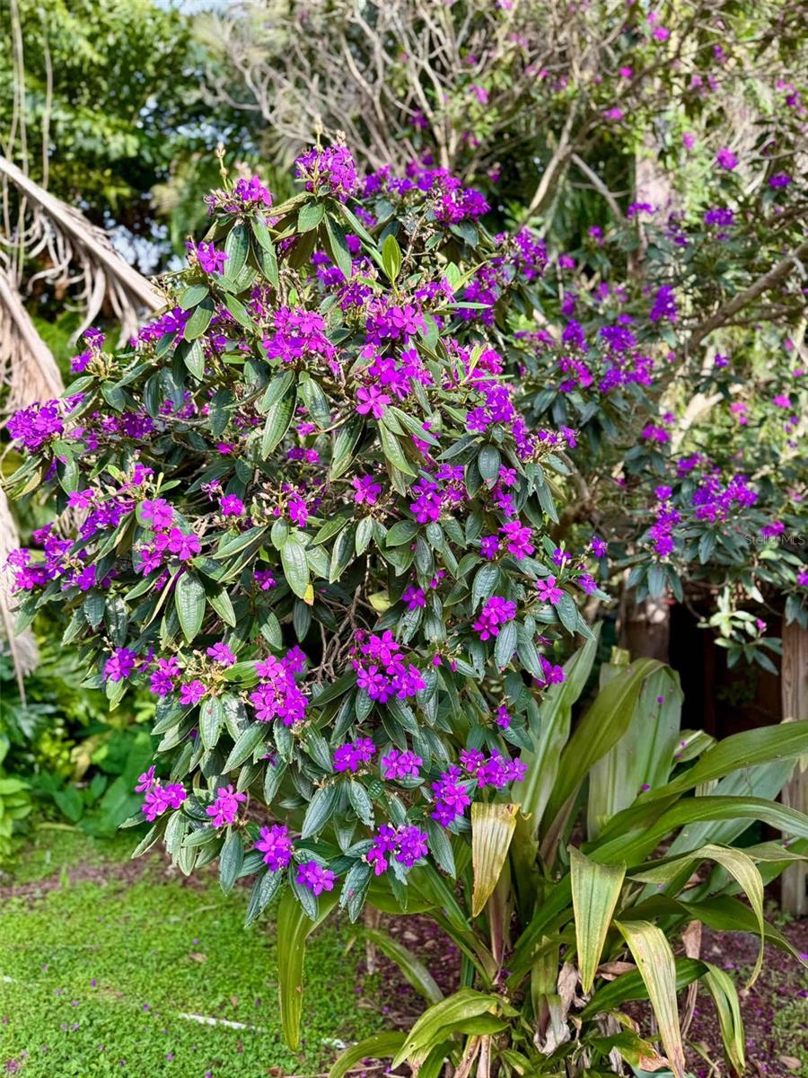 3012 GRAND VIEW AVE, CLEARWATER, FL, 33759