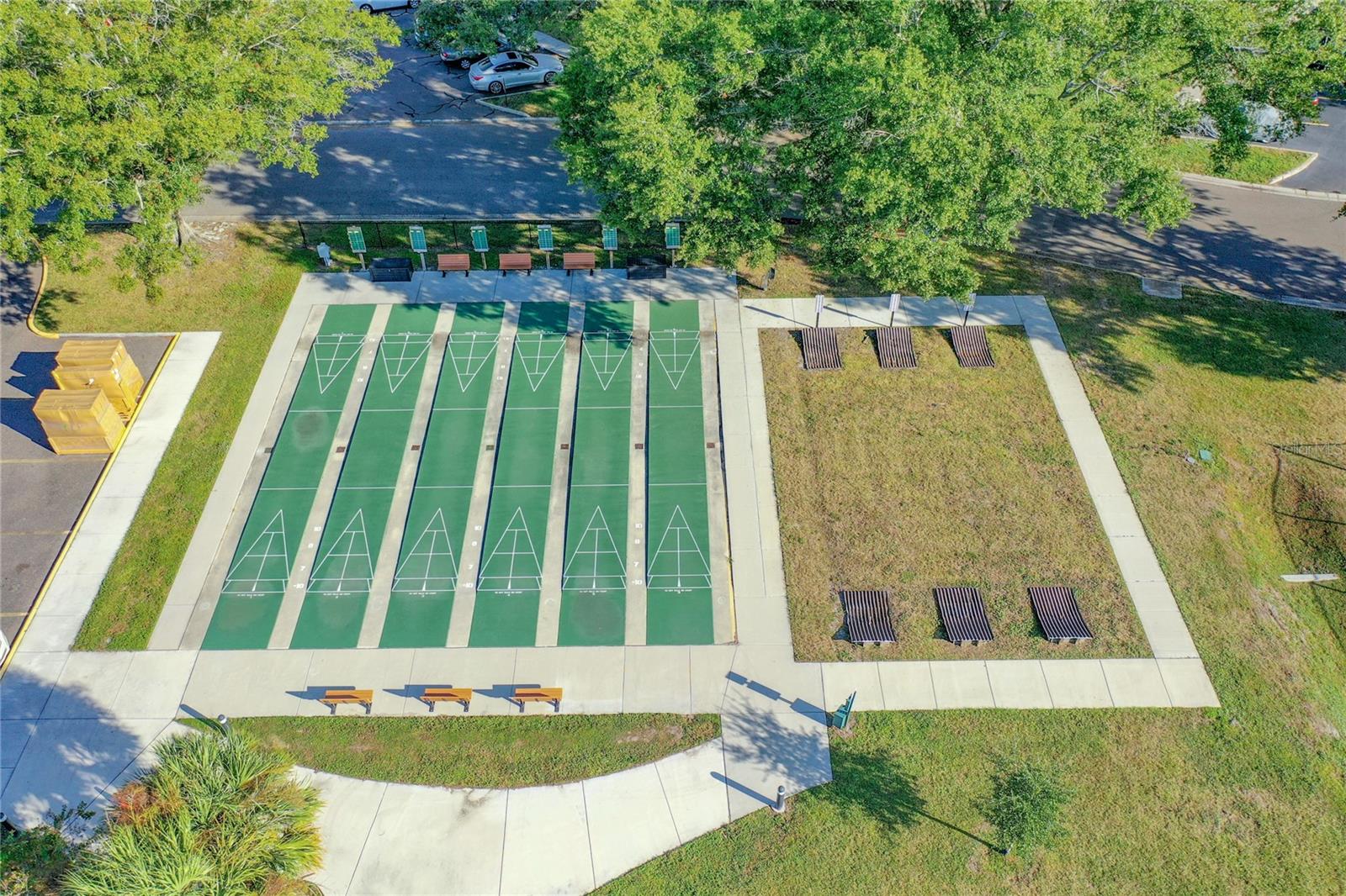 Shuffleboard and Horseshoes