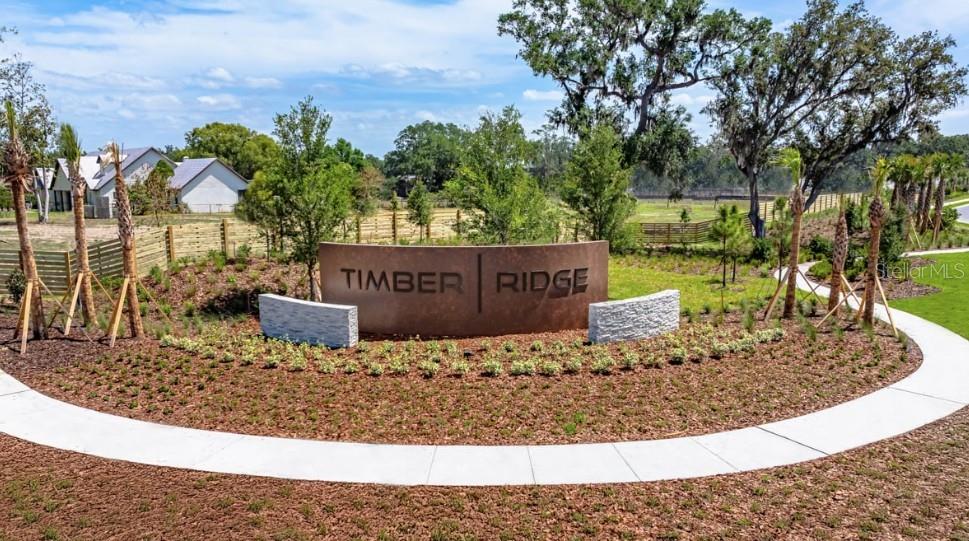 Timber Ridge